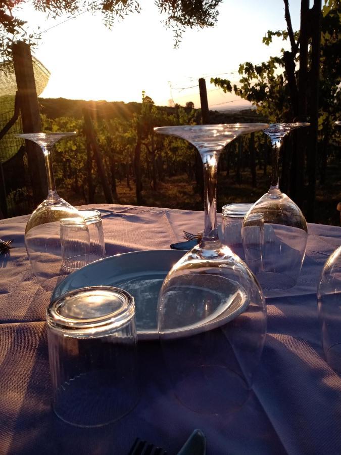 Poggio Agli Ulivi Villa Frascati Dış mekan fotoğraf