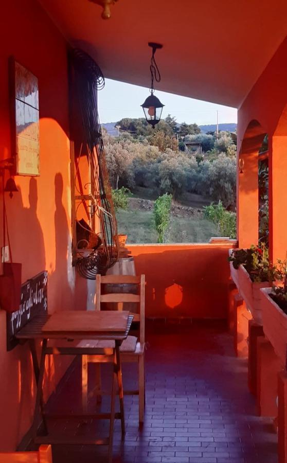 Poggio Agli Ulivi Villa Frascati Dış mekan fotoğraf