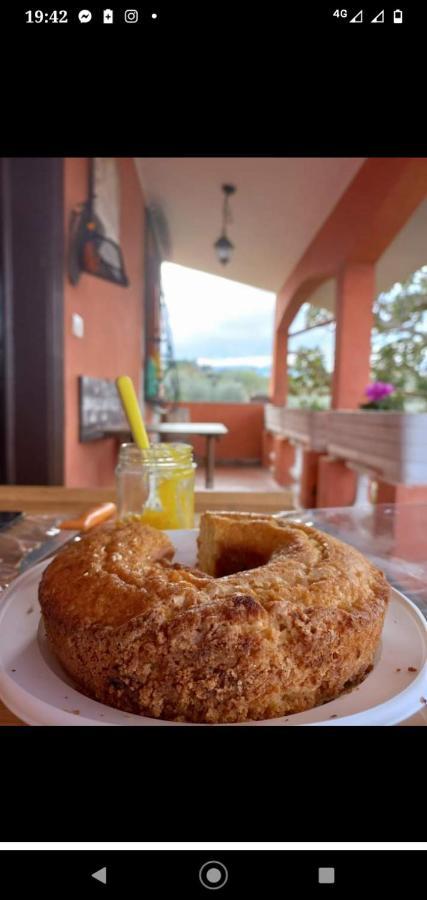 Poggio Agli Ulivi Villa Frascati Dış mekan fotoğraf