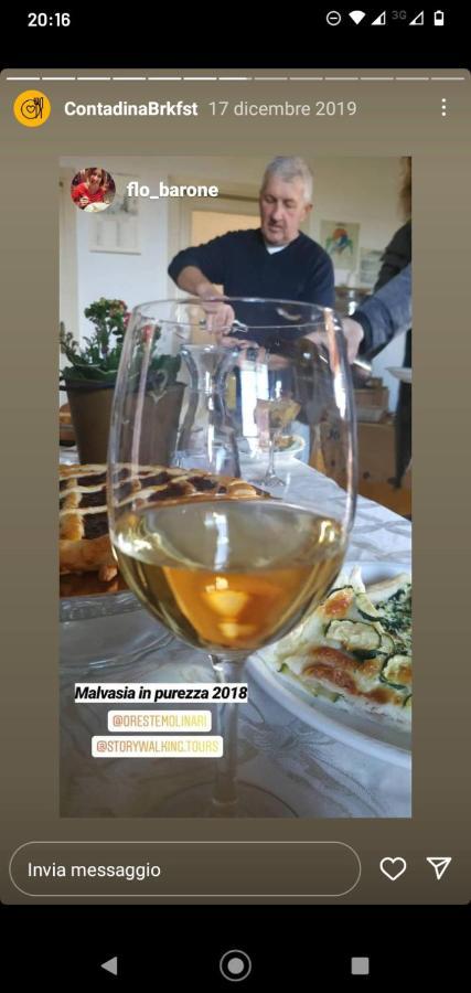 Poggio Agli Ulivi Villa Frascati Dış mekan fotoğraf