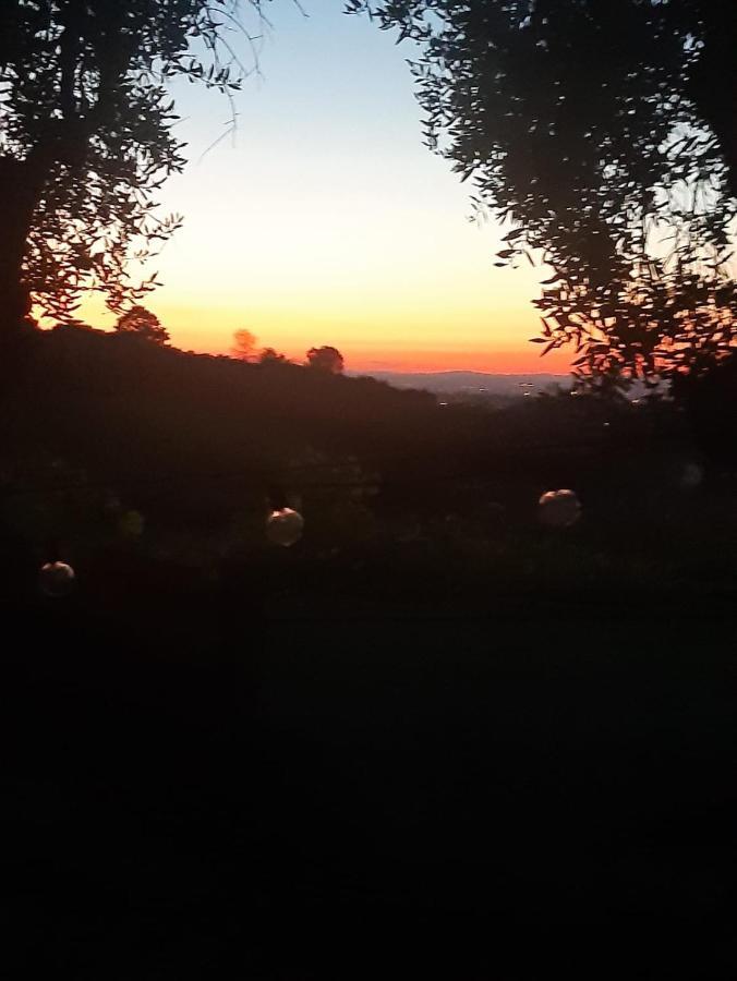 Poggio Agli Ulivi Villa Frascati Dış mekan fotoğraf