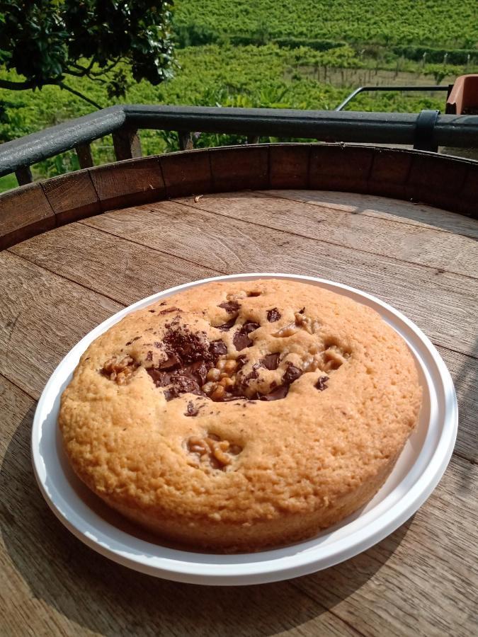 Poggio Agli Ulivi Villa Frascati Dış mekan fotoğraf