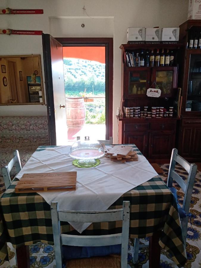 Poggio Agli Ulivi Villa Frascati Dış mekan fotoğraf