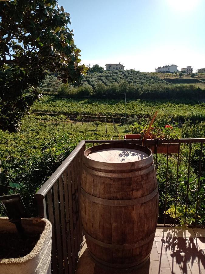 Poggio Agli Ulivi Villa Frascati Dış mekan fotoğraf