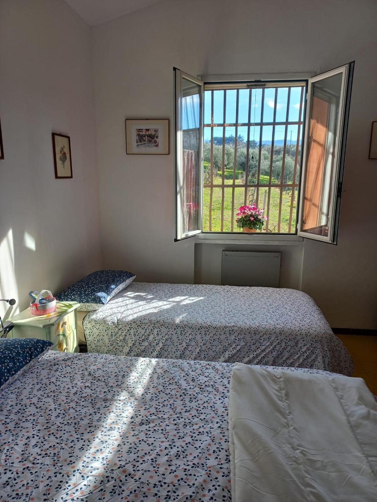 Poggio Agli Ulivi Villa Frascati Oda fotoğraf