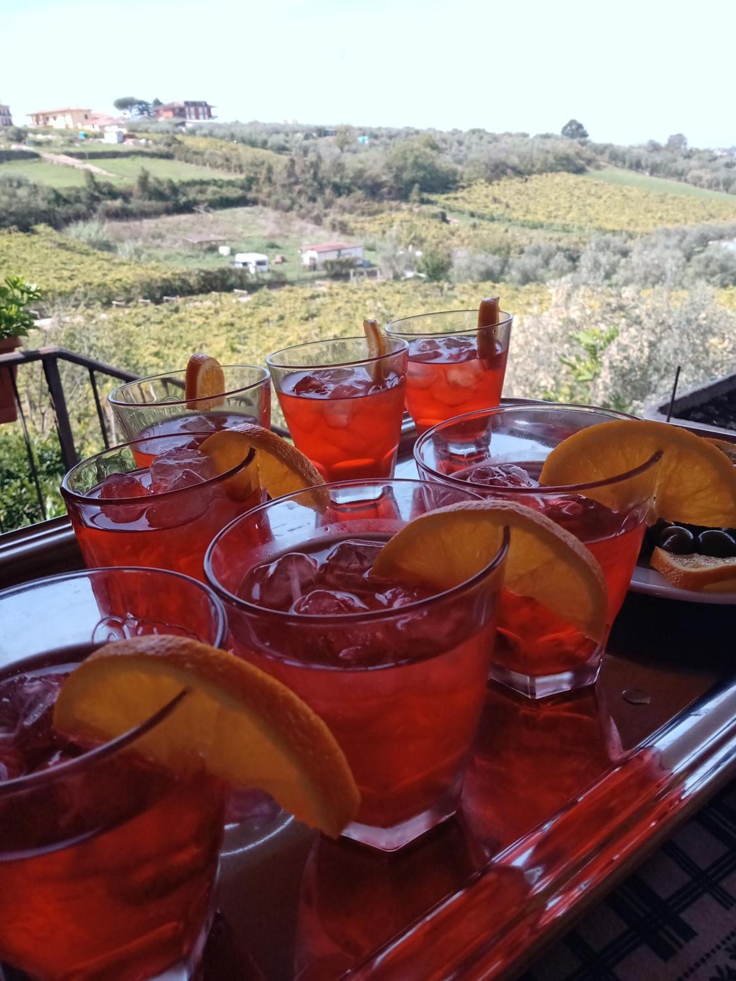 Poggio Agli Ulivi Villa Frascati Dış mekan fotoğraf