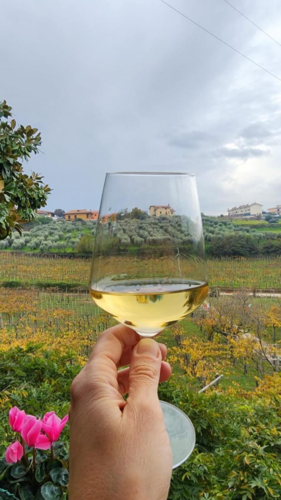 Poggio Agli Ulivi Villa Frascati Dış mekan fotoğraf