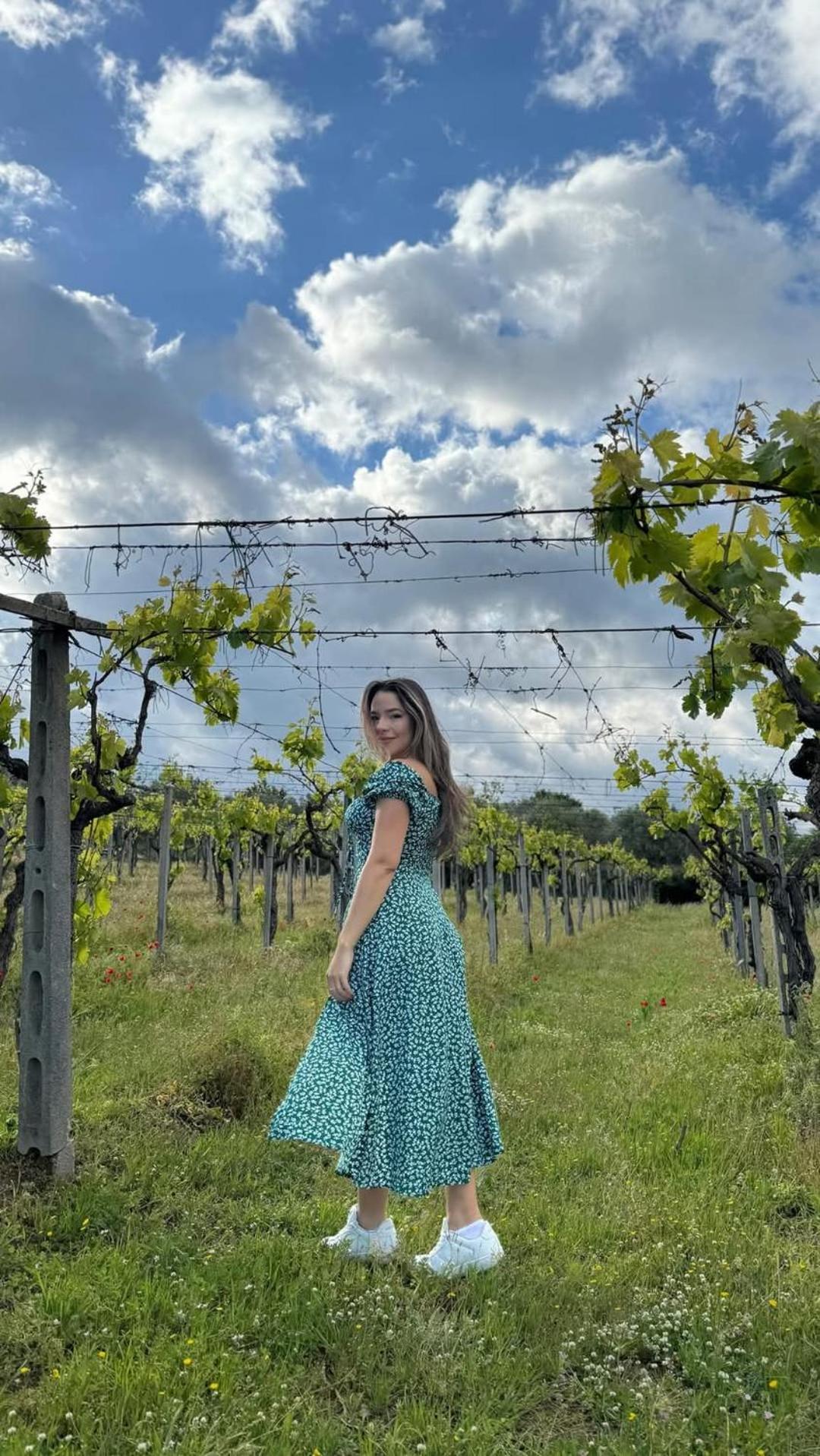 Poggio Agli Ulivi Villa Frascati Dış mekan fotoğraf